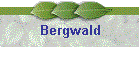Bergwald