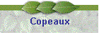 Copeaux
