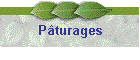 P�turages