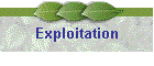 Exploitation