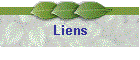 Liens