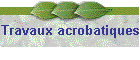 Travaux acrobatiques